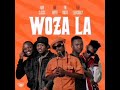 WOZA LA(Amu classic, kappie & TNK musiQ ft LeeMc krazy) World of amapiano