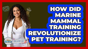 How Did Marine Mammal Training Revolutionize Pet Training? - Ask A Pet Vet