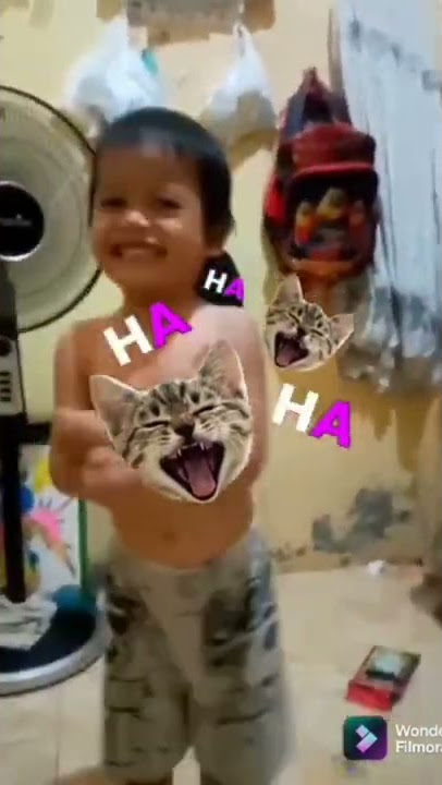 aktivitas random