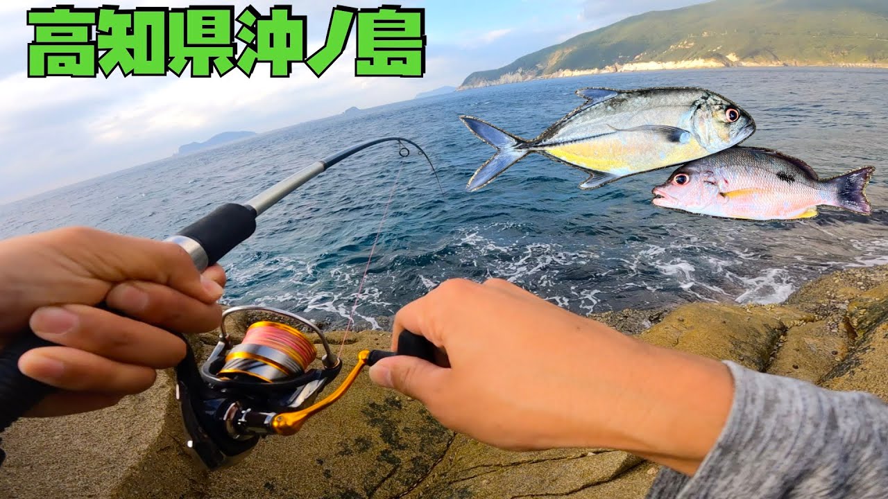【高知県沖ノ島】離島での釣りは想像を超える釣果になりました！