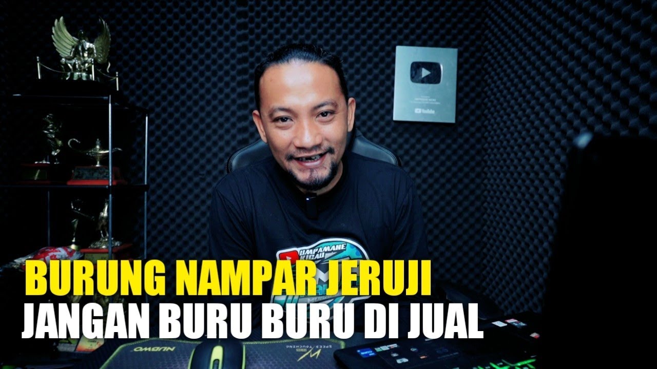 НАСТРОЙКИ ДЛЯ ‼️птиц, которые любят шлепать, когда их подвешивают в клетке