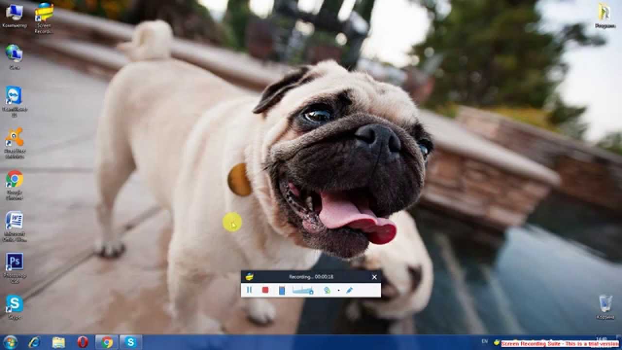 Какой лучше всего скрин рекордер(screen recorder suit) - YouTube