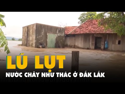 Video Nước chảy như thác, nhà ngập sâu, đường chia cắt ở Đắk... - youtube