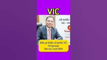 Điều gì khiến cổ phiếu VIC ( Vingroup) liên tục vượt đỉnh!#chungkhoan #viral #vingroup #cophieu