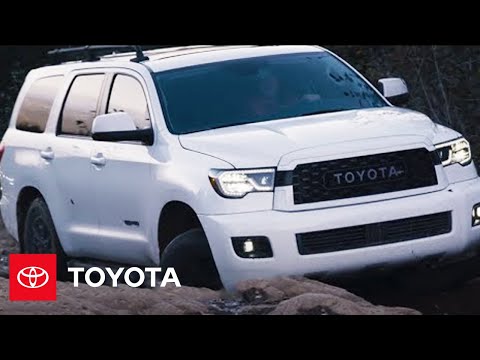 The Sequoia Earns Its TRD Pro Badge on Vancouver Island | Toyota - The Sequoia Earns Its TRD Pro Badge on Vancouver Island | Toyota