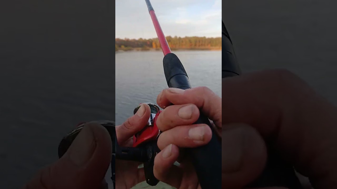 October 29th bass fishing action