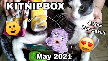 A Subscription Box Just For Cats!! KitNipBox May 2021 Unboxing & Review (Amazon) (Funny Cat Videos)