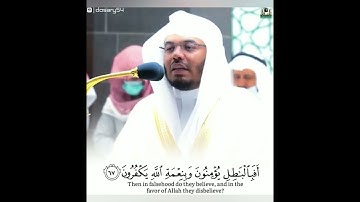 ارح قلبك مع الشيخ ياسر الدوسري تلاوه جميل جدا  ♕♡اولم يروا انا جعلنا حرما امنا  #كن_للقران_دعيآ