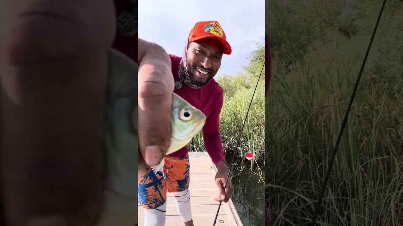 Colorado river cat and bass fishing
