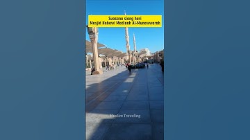 Perjalanan Umroh menggunakan travel Haji dan umrah tanpa backapker 2024 #makkah #madina  #travel