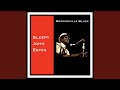 Diving Duck Blues