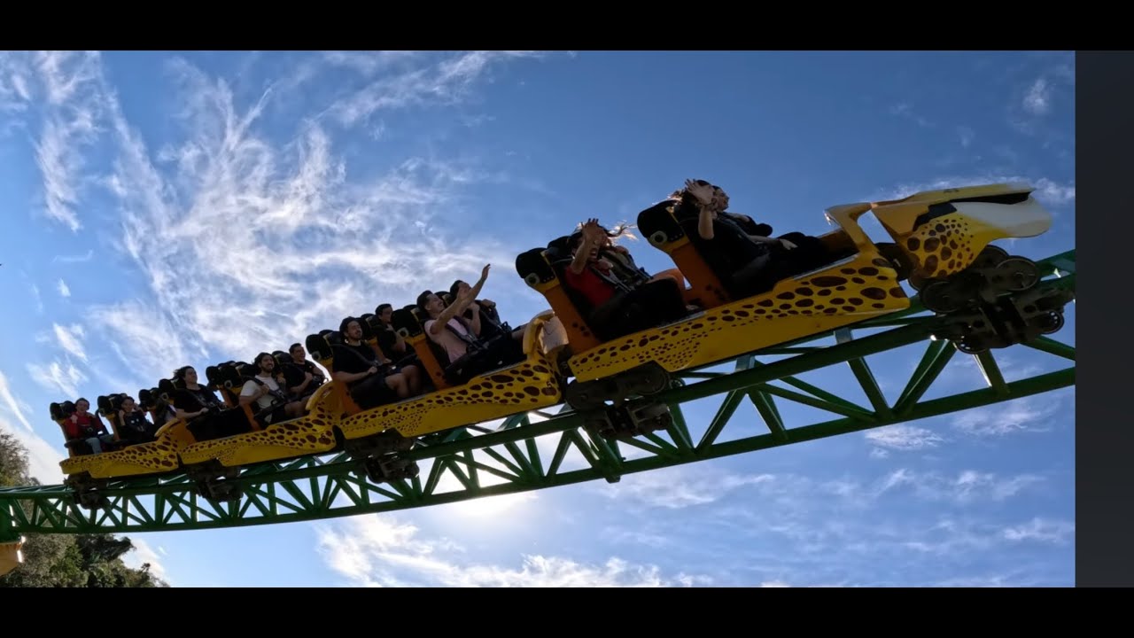 Cheetah Hunt from Skyride POV 2024 (5.3K)