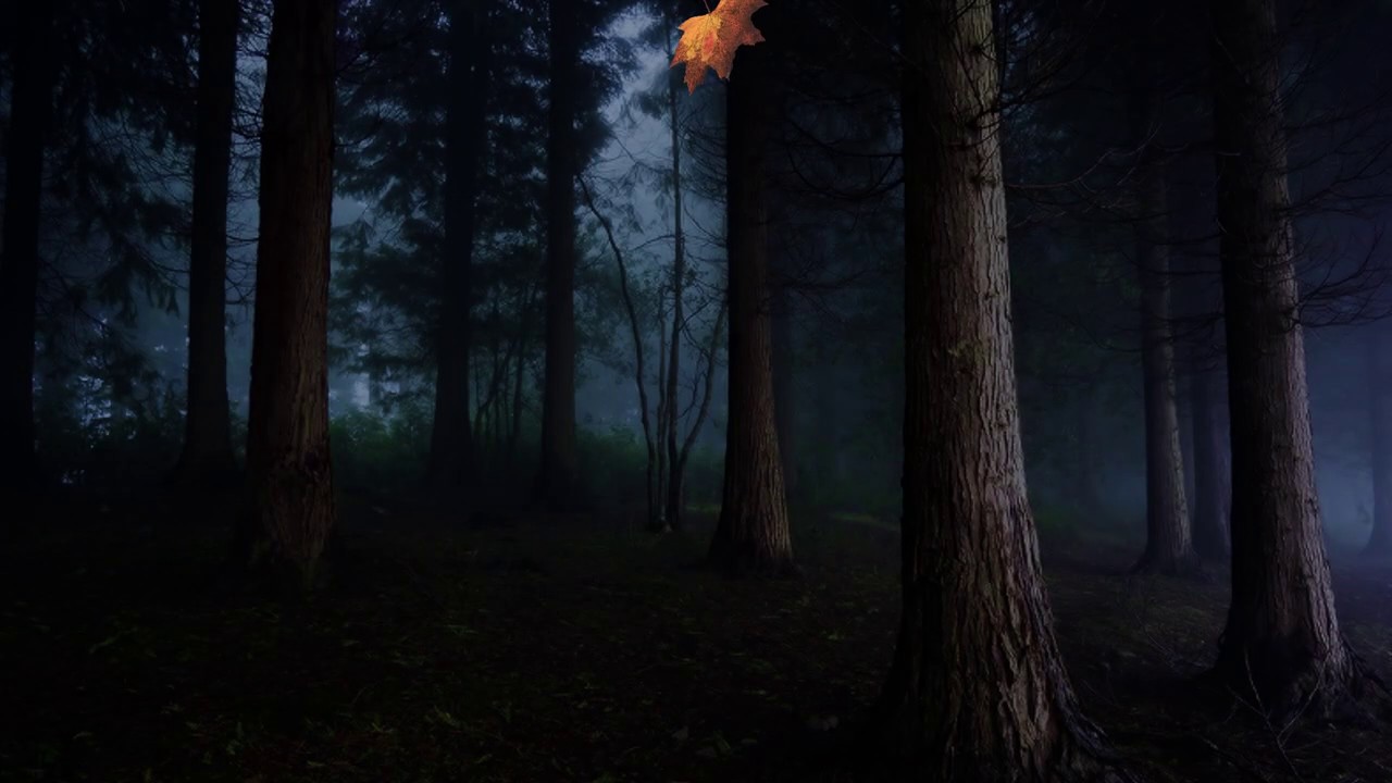 A Day - Motion Poster
