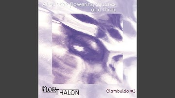 About the flowering squares and thick (Clambuido #3)