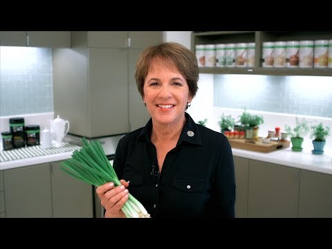 Cooking with onions: How to select and cut an onion | Herbalife Advice
