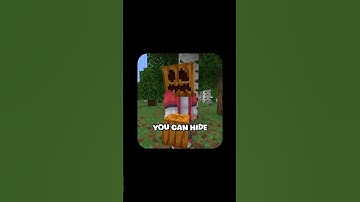 How To Hide From New Locator Bar #minecraftupdate #locatorbar