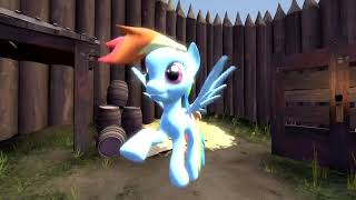SFM test rainbow dash movement