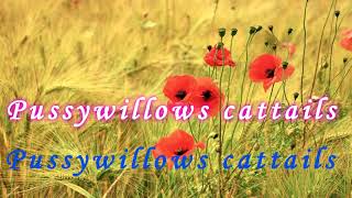 Vignette de la vidéo "Pussywillow cattails with lyrics by Kenny Rankin"