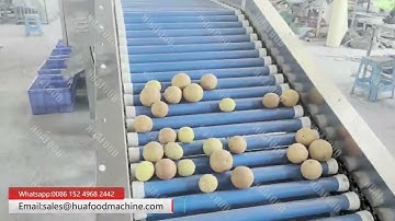 Fruits Roller Bar Sorting And Grading Machine For Lemon And Pear