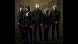 A Perfect Circle - Judith Drumless