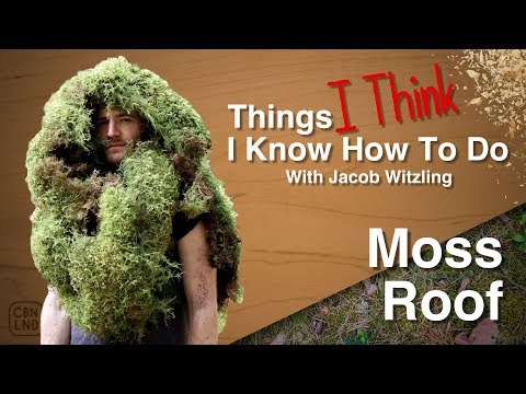 Video: Roof To Grow