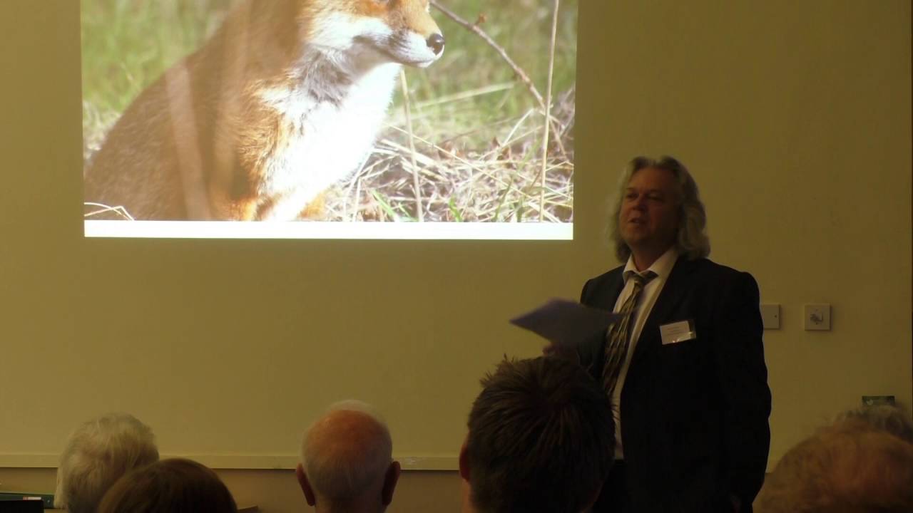 anniversary rings Ian Tanner