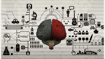 Brain Functions PowerPoint Presentation Template - TheTemplateWizard.com