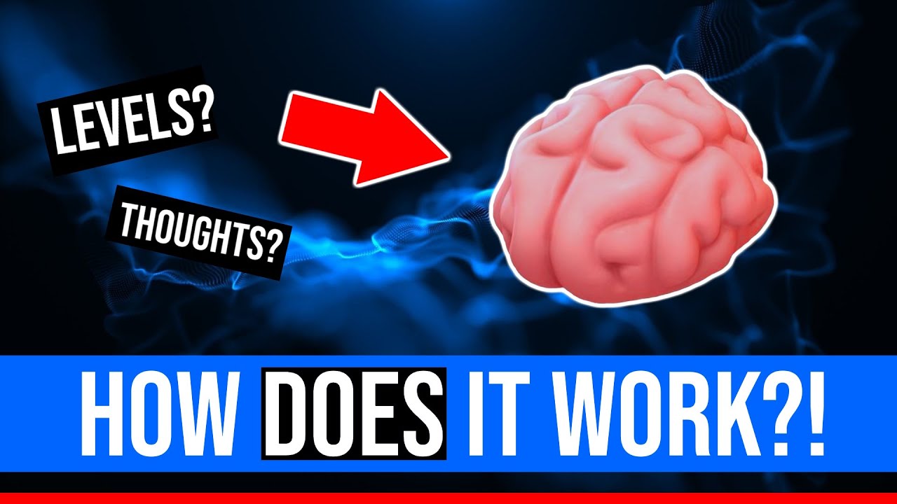 The THREE Levels - Your Mind EXPLAINED - YouTube