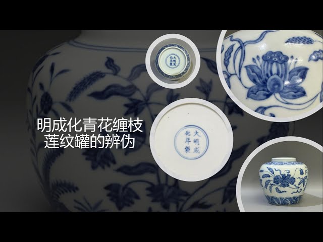 中国 染付 纏枝蓮花紋 瓶 青花缠枝莲纹赏瓶- 故宫博物院