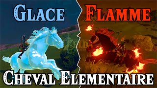 Cheval de Glace 🧊 ou de Flammes 🔥  ? - Destrier élémentaire (Zelda: Breath of the Wild)