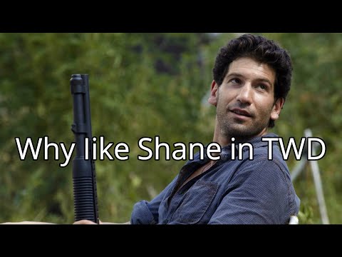 Why I like Shane in TWD (A Defense of Shane Walsh) [TTS]