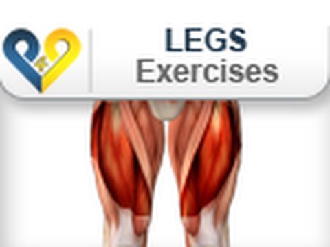 Legs exercises : How to Squats for quadriceps muscles