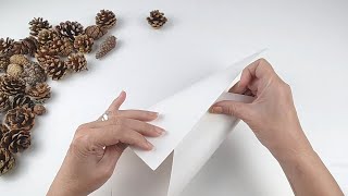 Festive Pinecone & Jar Crafts for Christmas - Recycling - 2025 Christmas - DIY