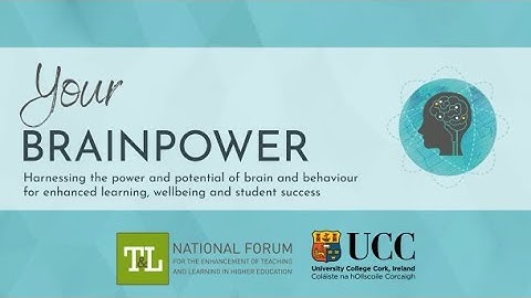 Your Brainpower | Canvas Course Introduction