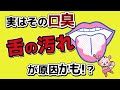 ★おすすめ ライオン★