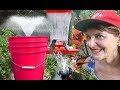 DIY WATER FOUNTAIN Bucket Solar Pump Garden Bird Bath Pond-Bathroom Makeover on a Budget