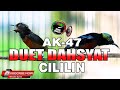 MASTERAN KONIN PALING DAHSYAT !! FULL ISIAN CILILIN VERSUS CIBLEK BREN AK47 TERBAIK PANJANG JERNIH