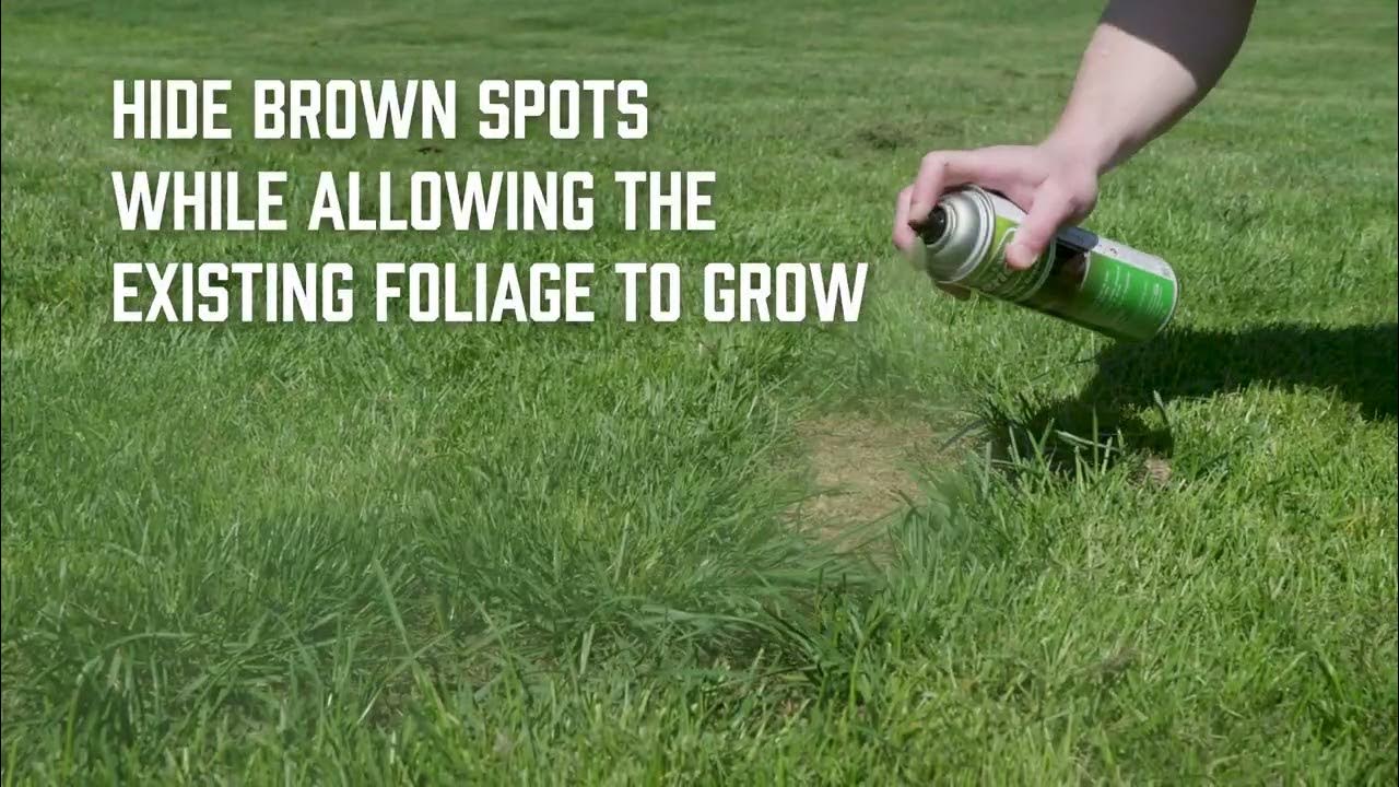 Grass and Shrub Renew, Pristine Green ProfessionalGrade Brown Spot Concealer YouTube