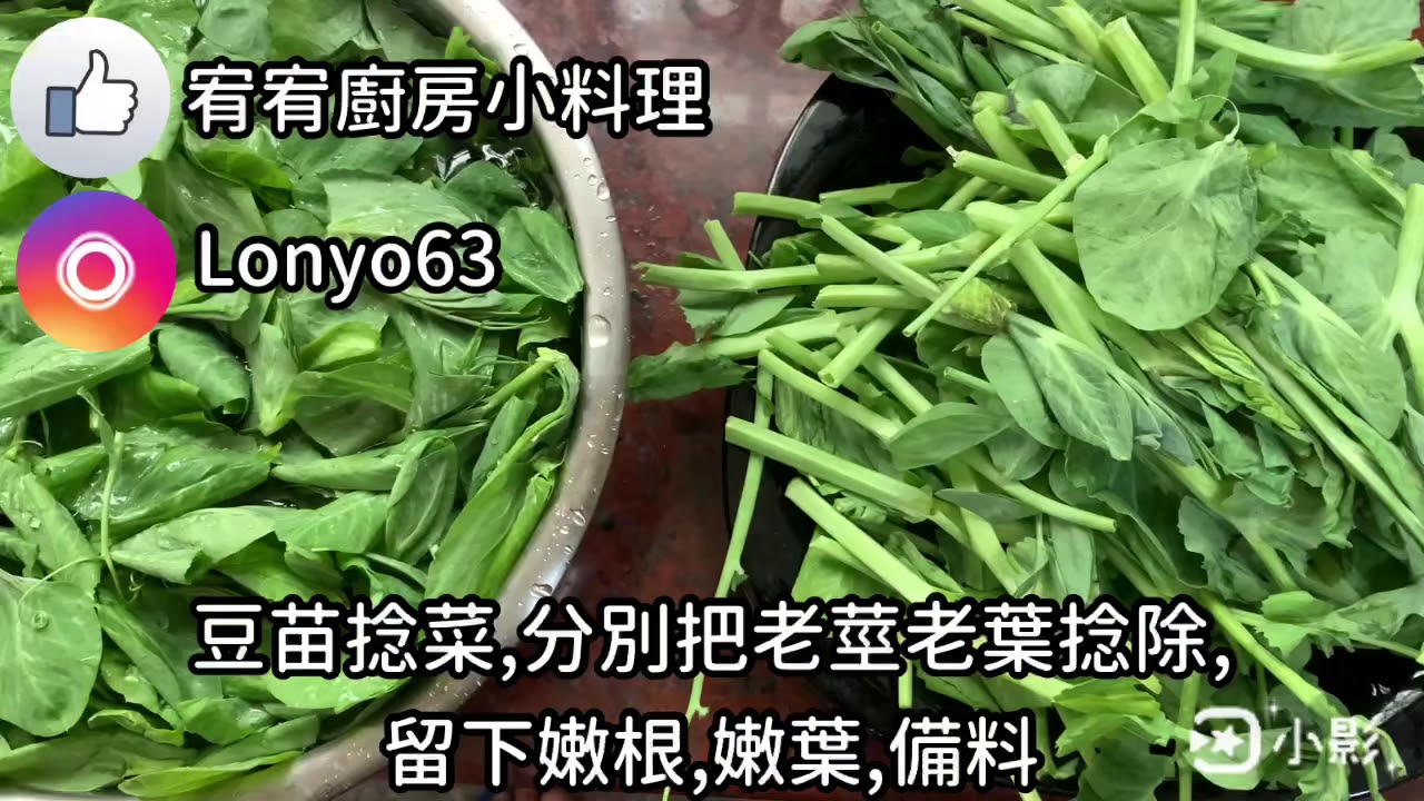 豆苗蝦仁 Youtube