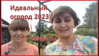 Идеальный огород 2023. Тут растет всё.