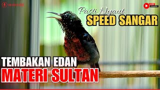 Download Lagu MASTERAN KONIN GACOR FULL ISIAN TEMBAK GEJRET KASAR AUDIO JERNIH COCOK BUAT KOLIBRI NINJA TROTOLAN MP3