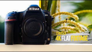 Nikon D850 Cinematic Video Test: 4K Flat Footage + Color Graded (NIKKOR 70-200mm f/2.8G ED VR II)