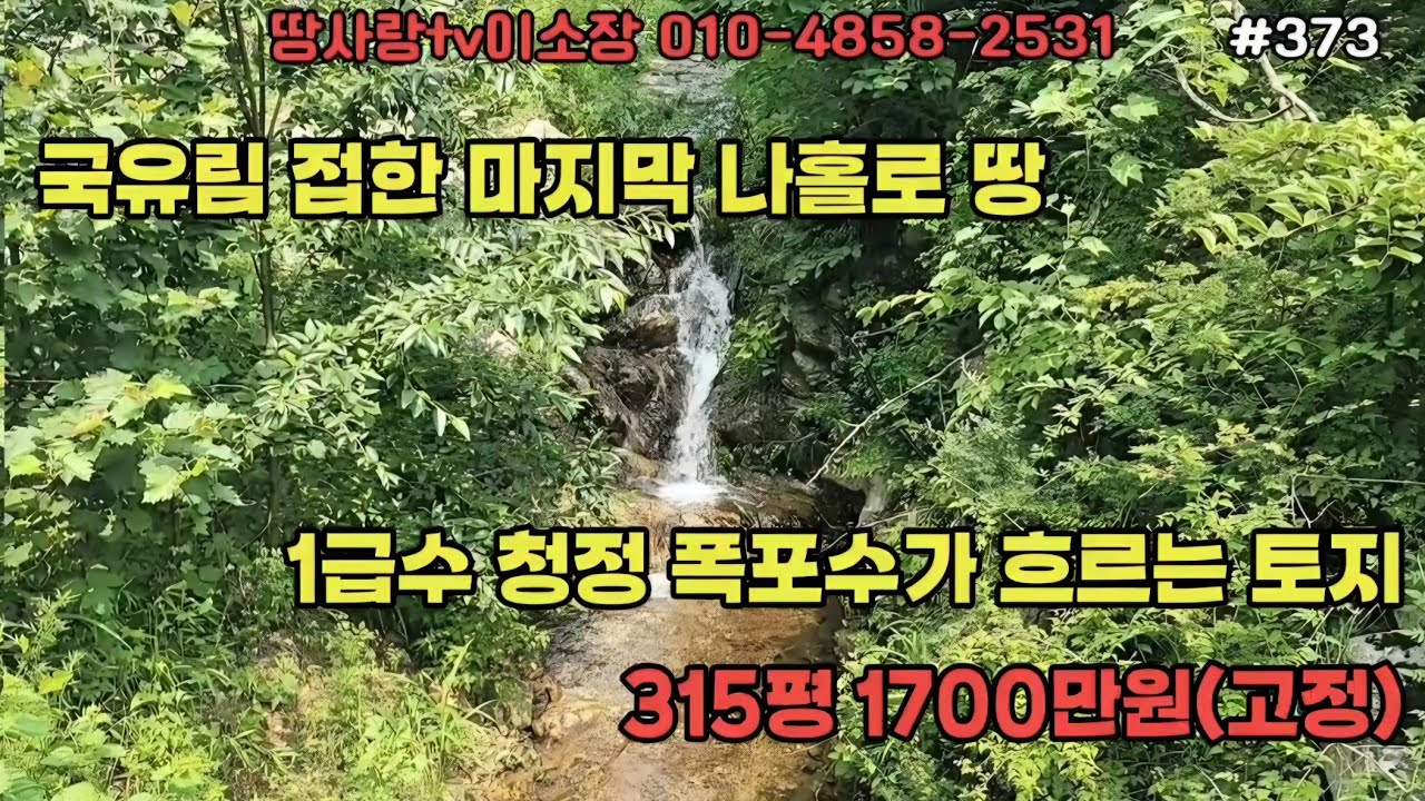 (373)울진계곡땅 1급수 청정 계곡물 흐르고 국유림 접한 마지막 나홀로 땅 