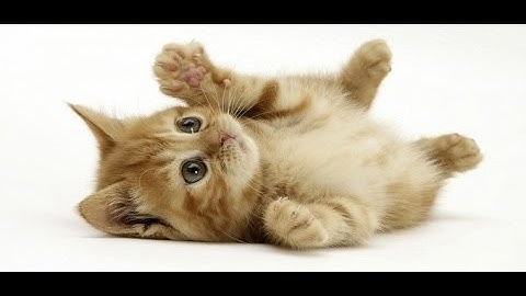 CSS3 Slider Effect Tutorial In Hindi Part 5