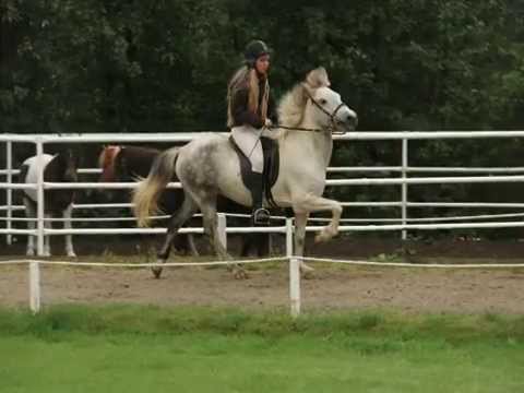 Djákni frá Efra-Seli