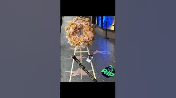 RIp 🙏 Anita Pointer #hollywood