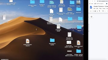 Grade 7 Science Criterion D Part 2