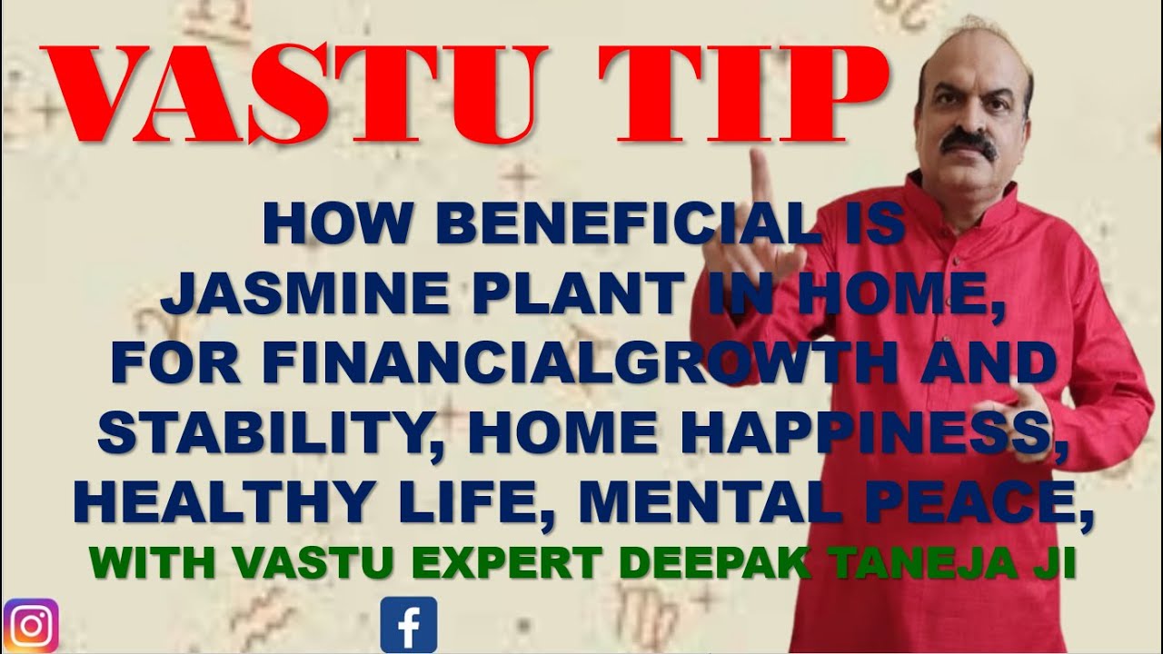 VASTU TIP, BENEFITS OF JASMINE IN VASTU WITH VASTU EXPERT DEEPAK TANEJA
