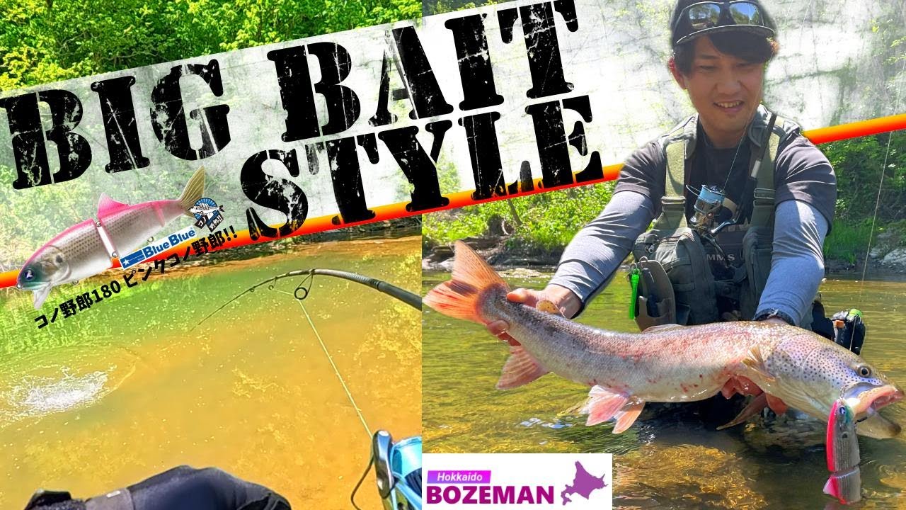 水面炸裂！躍動するイトウをビックベイトで一撃！春ゼミが鳴き始める湿原河川の大場所を巡る【北海道釣り】【イトウ釣り】