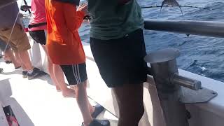 Jubilee Deep Sea Fishing Catching Fish Part 2 #fishing #family #happy #ocean #boats
